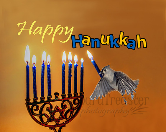 Happy Hanukkah