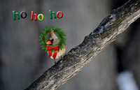 Ho Ho Ho