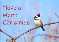 Have a Merry Christmas
