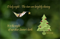 Holiday Greetings