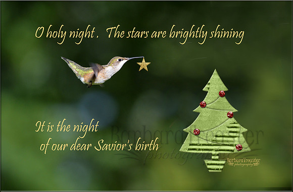 Oh Holy Night